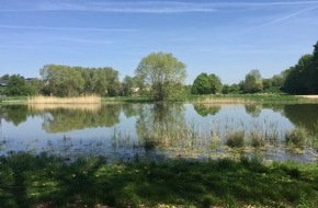Energie- und Klimaschutzagentur Rheinland-Pfalz GmbH: Klimaanpassung erlebbar machen: Aktionsmonat in W&ouml;rrstadt