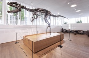Naturhistorisches Museum Basel: Ein Dino fürs neue Naturhistorische Museum Basel