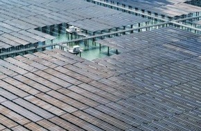 Xinhua-News: China plant 50 Prozent nicht-fossile Stromerzeugung bis 2030