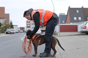 Polizeidirektion Hannover: POL-H: Garbsen: Diensthund Amber findet vermissten Senior