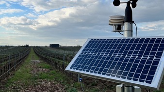 Deutsche Bundesstiftung Umwelt (DBU): Ressourcensparende Bewässerung und Öko-Wein aus dem Zapfhahn