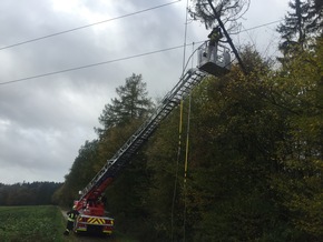 FW Lügde: Technische Hilfe / Baum in 30 KV Leitung