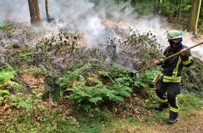 Feuerwehr Gevelsberg: FW-EN: Waldbrand in Gevelsberg