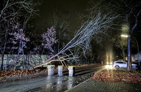 Feuerwehr Iserlohn: FW-MK: Sturmbilanz seit Donnerstag 21.12.2023