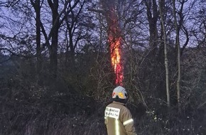 Polizei Mettmann: POL-ME: Ein brennender Baum lässt die Polizei ermitteln - Wülfrath - 2101024 (FOTO)