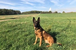 Polizei Düren: POL-DN: Dürener Polizeihund Joker stellt einen Einbrecher