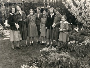 Pressebericht: Eine Blume auf Erfolgskurs: Start in die Tulpensaison 2019