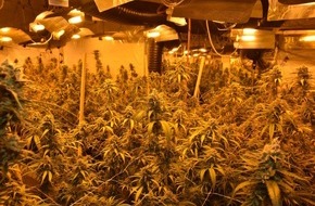 Polizeiinspektion Lüneburg/Lüchow-Dannenberg/Uelzen: POL-LG: ++ "einen guten Riecher"++ Polizei hebt professionelle Indoor-Plantage aus ++ fast 600 erntereife Cannabispflanzen und hochwertiges Equipment in ehem. Baumarkt ++ Ermittlungen gegen ...