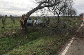 Polizeidirektion Landau: POL-PDLD: Burrweiler - Schwerer Verkehrsunfall