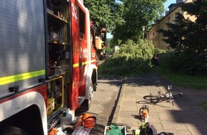 Feuerwehr und Rettungsdienst Bonn: FW-BN: Wetterbedingte Einsätze