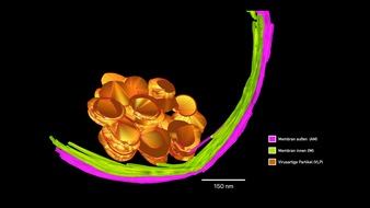 Universität Duisburg-Essen: Universität Duisburg-Essen wird für die Universitätsallianz Ruhr NRW-HPC-Standort