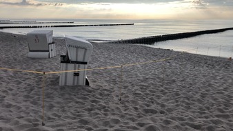 Polizeiinspektion Stralsund: POL-HST: Polizeieinsatz nach Kegelrobbensichtung am Strand von Ahrenshoop