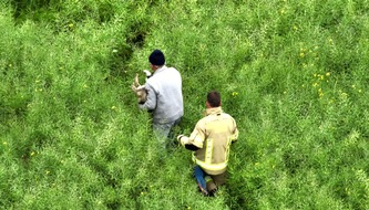 Feuerwehr Kleve: FW-KLE: Geschwächter Hund mit Drohne in Rapsfeld geortet und gerettet