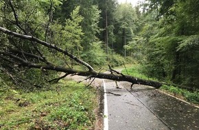 Polizeidirektion Landau: POL-PDLD: Edenkoben. Unwetter hält Polizei auf Trapp