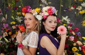 Blumenbüro: Freundinnen kennen ihre Lieblingsblumen / Die Blumengeheimnisse von Cosma Shiva Hagen und Nova Meierhenrich