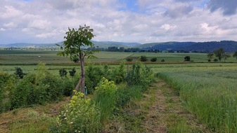 Universität Kassel: Kasseler Forschende entwickeln sozial-ökologische Leitlinien für die EU-Naturschutzverordnung