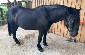 Polizeiinspektion Nienburg / Schaumburg: POL-NI: Pferd die Mähne abgeschnitten