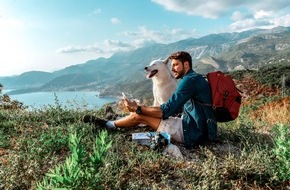 Bundesverband für Tiergesundheit e.V.: Ferien mit dem Hund: Mit guter Planung stressfrei reisen