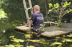 Polizeidirektion Trier: POL-PDTR: Ente gut, alles gut.... spektakuläre Entenbabyrettung am Schlossweiher