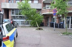 Polizeiinspektion Emsland/Grafschaft Bentheim: POL-EL: Nordhorn - Baum umgefahren und geflüchtet - Zeugen gesucht