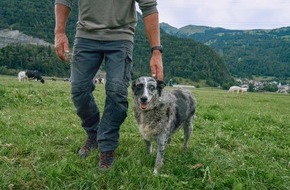 Boehringer Ingelheim: KI-gest&uuml;tzte L&ouml;sung von Boehringer Ingelheim und Eko Health Inc. wird Herzger&auml;usche bei Hunden fr&uuml;her erkennbar machen