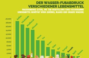 World Avocado Organization (WAO): Pressestatement der World Avocado Organization zur dpa Meldung "Umstrittene Superfrucht - Avocado-Boom in Deutschland"