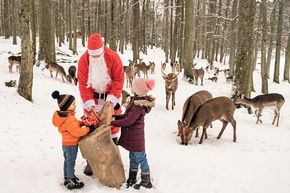 WinterWunderWald in Tripsdrill – Zauberhafte Wintermomente im Wildparadies