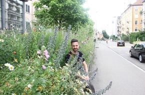 Wildbiene + Partner AG: Er bringt blühende Wildbienen-Paradiese in die Stadt