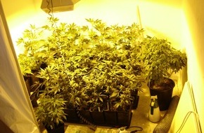 Polizeidirektion Bad Segeberg: POL-SE: Tangstedt: Kriminalpolizei entdeckt weitere Cannabisplantage