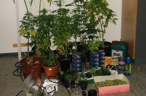 Polizeiinspektion Hildesheim: POL-HI: 33-jähriger Hildesheimer baut Cannabis an