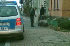Polizeidirektion Göttingen: POL-GOE: (137/2007) Hängebauchschweindame auf Abwegen - FOTO im Anhang !