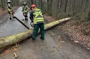 Freiwillige Feuerwehr Hünxe: FW Hünxe: Baum auf Fahrbahn