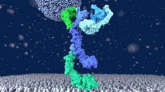 Universität Osnabrück: Spektakuläre Einblicke in den Magen der Zelle: Biologen der Uni Osnabrück klären mit neuem Hochleistungsmikroskop wichtige 3D-Struktur auf