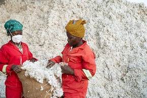 Aid by Trade Foundation Successfully Completes EUR 2.8 Million Project for Climate-Resilient Agriculture in Africa