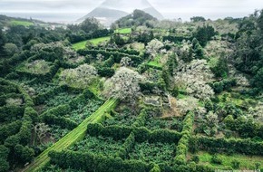 Europ&auml;ischer Rechnungshof - European Court of Auditors: (Pressemitteilung) Europ&auml;ischer Rechnungshof: Agrarf&ouml;rderung f&uuml;r &Uuml;bersee-Regionen der EU muss auf den Pr&uuml;fstand
