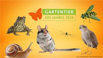 Heinz Sielmann Stiftung: PM Endspurt bei der Wahl zum „Gartentier des Jahres 2025“