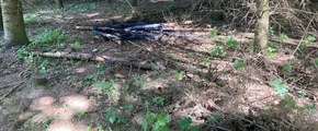 Kreispolizeibehörde Rhein-Kreis Neuss: POL-NE: Unbekannte verursachen Feuer im Wald