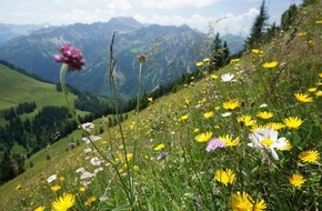 Allg&auml;u GmbH: Tag des Welterbes am 7. Juni: Von 170 Welterbest&auml;tten finden sich 55 in Deutschland und eine der bekanntesten im Allg&auml;u.