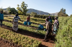 Stiftung Menschen für Menschen: #AlleFürsKlima am 24. September 2021: Menschen für Menschen setzt sich mit integrierter Aufforstung in Äthiopien für den globalen Klimaschutz ein