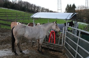 Feuerwehr Essen: FW-E: Tierrettung in Essen-Kupferdreh, 18 Jahre alte Stute mit Hufen in Futterraufe verklemmt