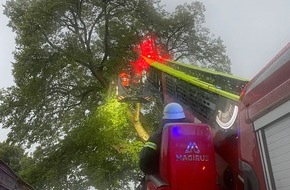 Freiwillige Feuerwehr der Stadt Goch: FF Goch: Unwetter: 30 Meter - Baum droht auf Scheune zu stürzen