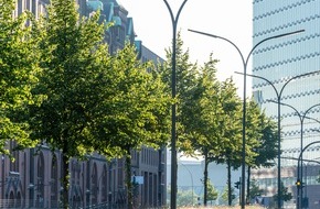 Bund deutscher Baumschulen (BdB) e.V.: Sitzung des Klimakabinetts: Der Bund deutscher Baumschulen fordert die Aufpflanzung von Bäumen in Stadt und freier Natur