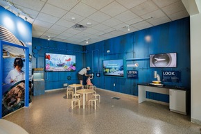 Mote Marine Zentrum auf Anna Maria Island vermittelt Wissen über das Leben unter Wasser