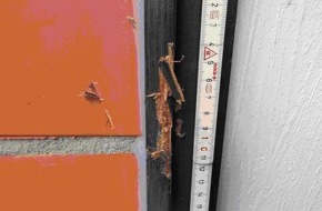Polizei Düren: POL-DN: Tageswohnungseinbrecher hebelten Terrassentüren auf