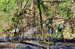 Feuerwehr Dorsten: FW-Dorsten: Waldbrand in den heutigen Mittagsstunden