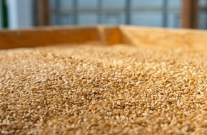 Rentokil Initial GmbH & Co. KG: Nachhaltigkeit im Vorratsschutz: S&A setzt verst&auml;rkt toxinfreie Verfahren ein