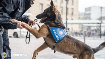 Bundespolizeidirektion München: Bundespolizeidirektion München: Kinder allein unterwegs - 
Diensthund verkürzt Wartezeit