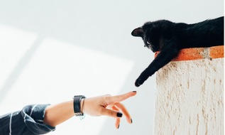 322 offizielle news zu krankenversicherung 2021 presseportal