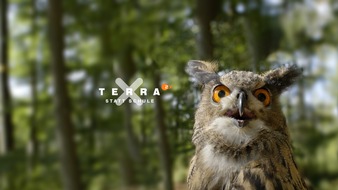 ZDF: ZDF startet "Terra X statt Schule"