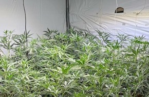 Polizei Rhein-Erft-Kreis: POL-REK: 260807-2: Polizeikr&auml;fte stellten &uuml;ber 900 Cannabispflanzen sicher